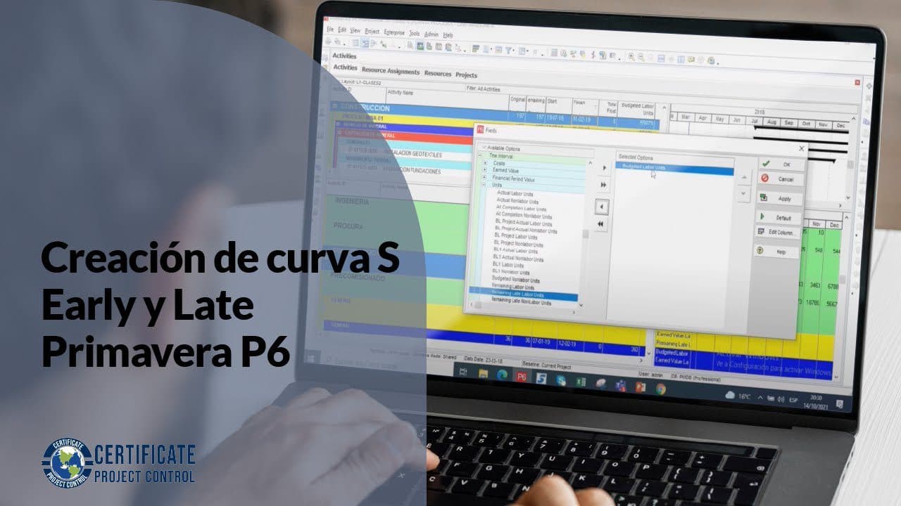 Creación De Curva S Early Y Late Primavera P6