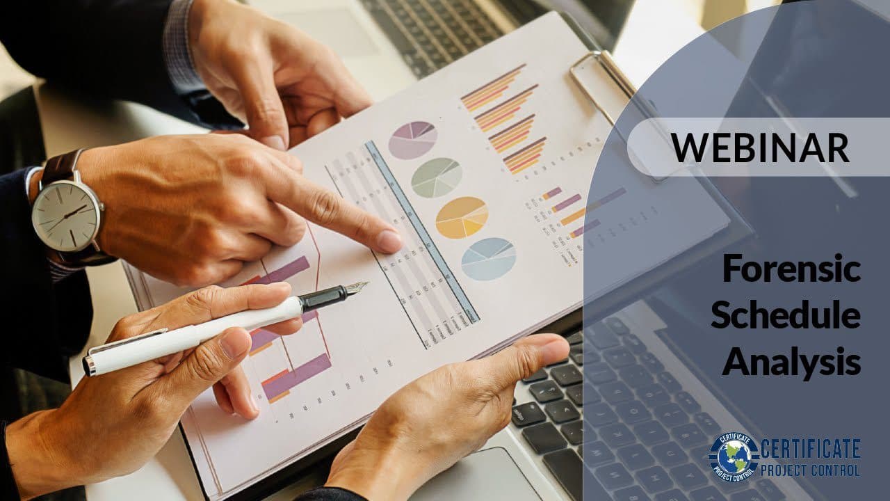 Forensic Schedule Analysis