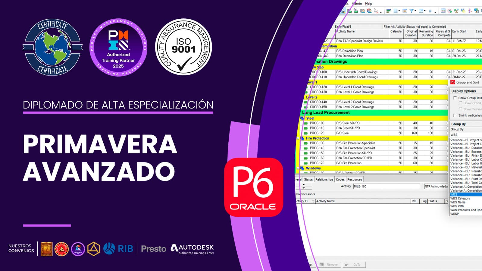 Diplomado Internacional de Alta Especialización en Primavera P6 Avanzado Risk Analysis
