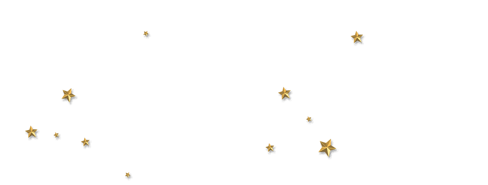 Certificate Project Control oferta de navidad