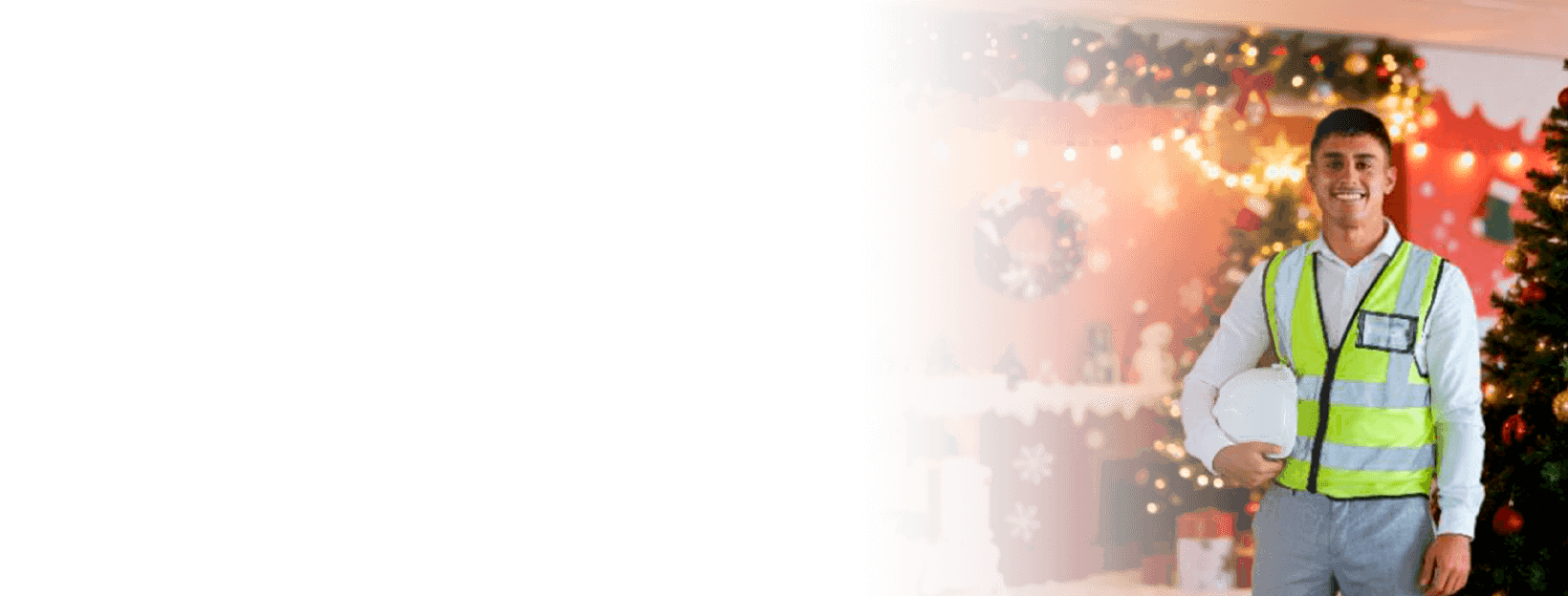 Certificate Project Control oferta de navidad